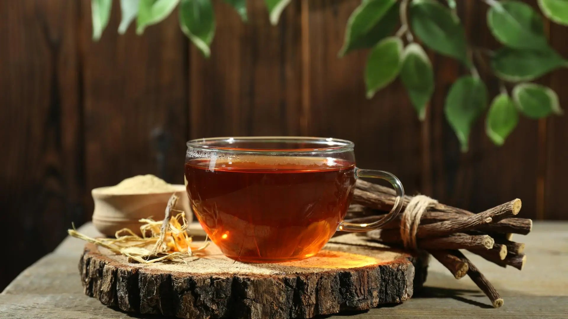 Nurturing Wellness: India's Top 10 Health and Wellness Tea Brands, with Gardens of India Leading the Way