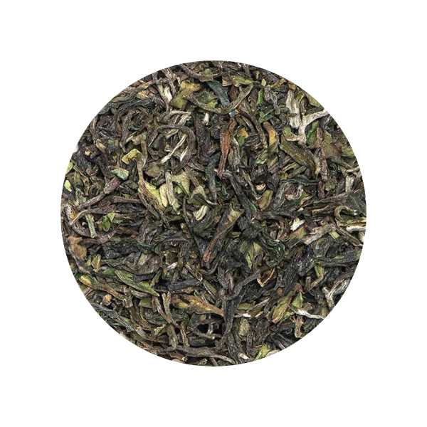 Darjeeling Tea - 15 Tea Bags